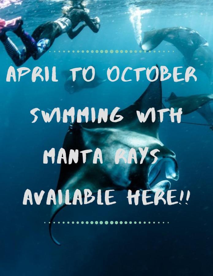 White Sandy Beach-Best Manta Snorkeling Tethi Экстерьер фото